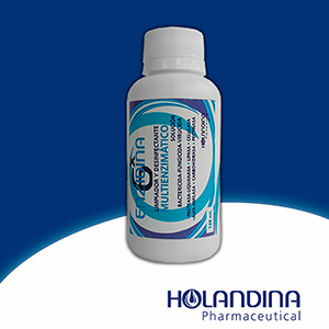 Enzidina 6X 120 mL